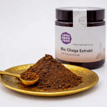 Vitalpilz Chaga Extrakt