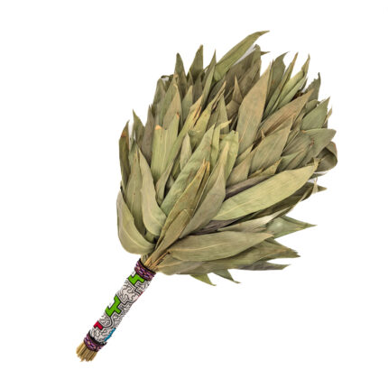 Chakapa