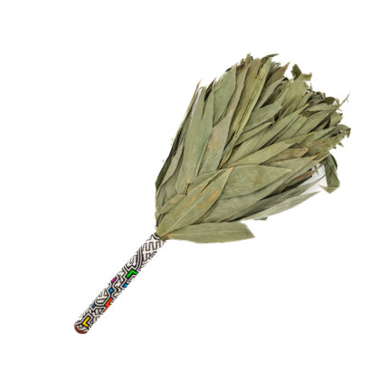 Chakapa