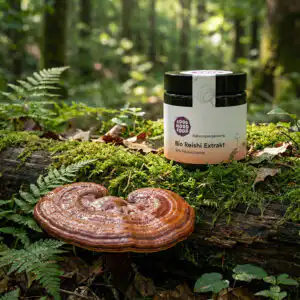 Reishi Extrakt Vitalpilz