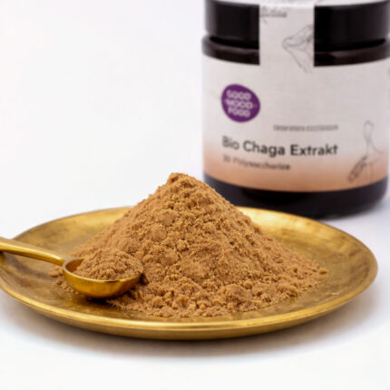 Medicinal mushroom chaga extract
